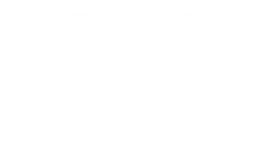 MFC Logo
